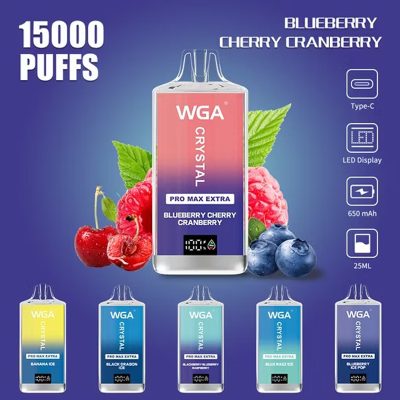 WGA Crystal Pro Max Extra 15K (15000) Puffs Adjustable Airflow 650mAh Battery Type-C Charging 20ml Capacity 2/5% Nicotine Disposable Vape